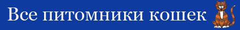 питомники кошек