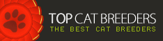 The best cat breeders